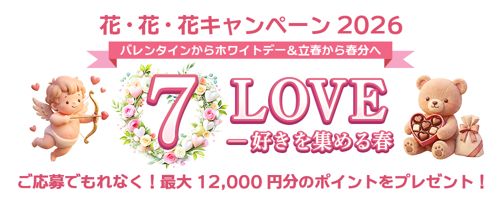 �ᥤ�����