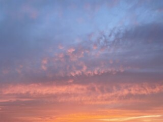 IMG_6135