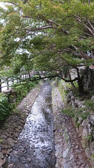 VideoCapture_20250701-111335