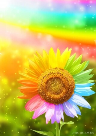 a72e93557c9c4b2d8f111ea270c08228