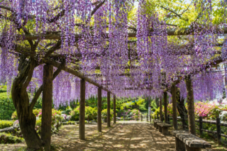 file_0000000099b07206a3aab0ca5a0ab887