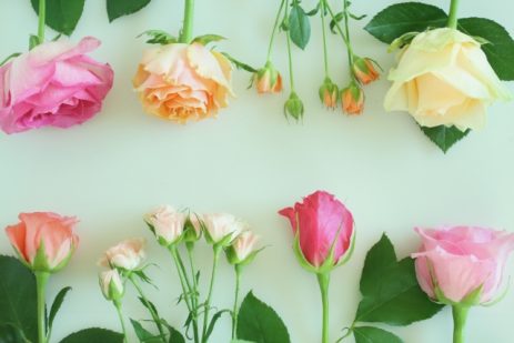 一番簡単な運気アップ方法 お家に 花 を飾ろう 当たる電話占い 絆 が運営する最新占いニュース 情報配信サイトhapy ハピ
