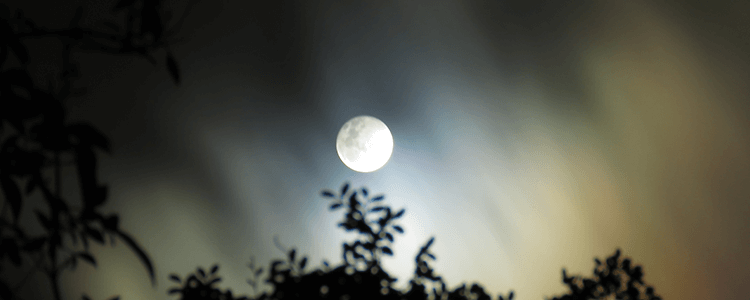 蠍座の満月のイメージ