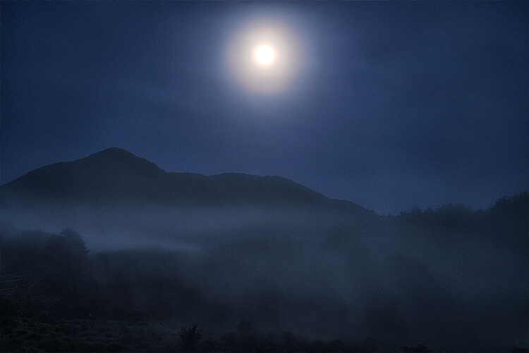 朧月夜との危険な関係