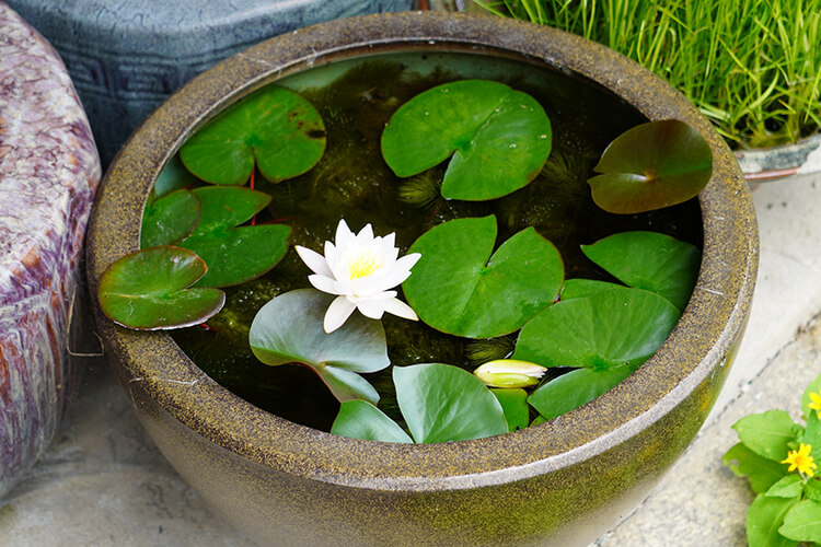 2026年に向けて変わりゆく「お金・住まい・自然」の運気