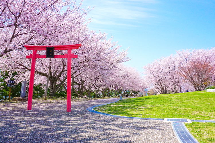 住まいが変わっても続く「氏神様とのつながり」