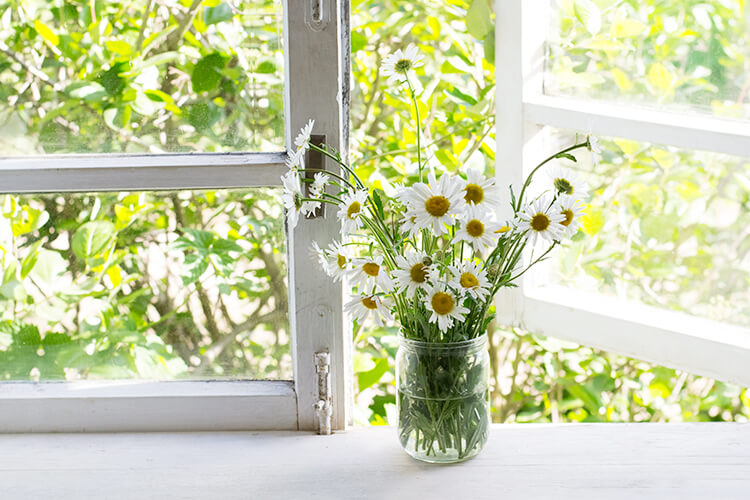 窓の開閉が教えてくれる「あなたの働きどき」