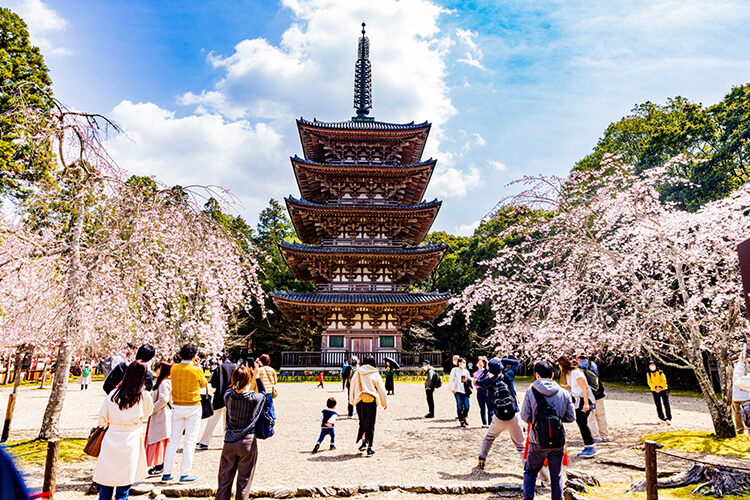 醍醐寺