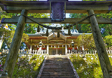 生命エネルギーに溢れる「玉置神社」の魅力を解説