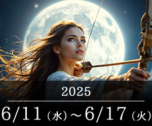 2025ǯ 6/116/17611ϼͼ¤