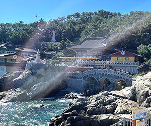 ֳζܻʥإɥ󥰥󥵡ˡ׳߱褤εܾΤ褦ʤء