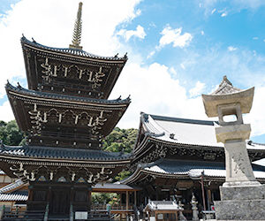 ���������ϡֿ�ֻ��פȡ��ڲֺ���ɱ�� �����ʤ��󤸤礦�˲ּ�����εܤ�