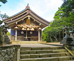 �ϵ�ο��򴶤��빭���Ļ�躽�֤����ƿ���