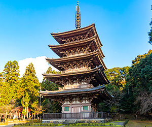 �ڰ���Ū�͵��Υѥ���ݥåȡ����Ը��ԡۺ��ȸ�����ޤ��JAPAN�֥��ɤ�ȯ������