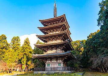 【圧倒的人気のパワースポット・京都後編】桜と光に包まれるJAPANブランドの発信基地