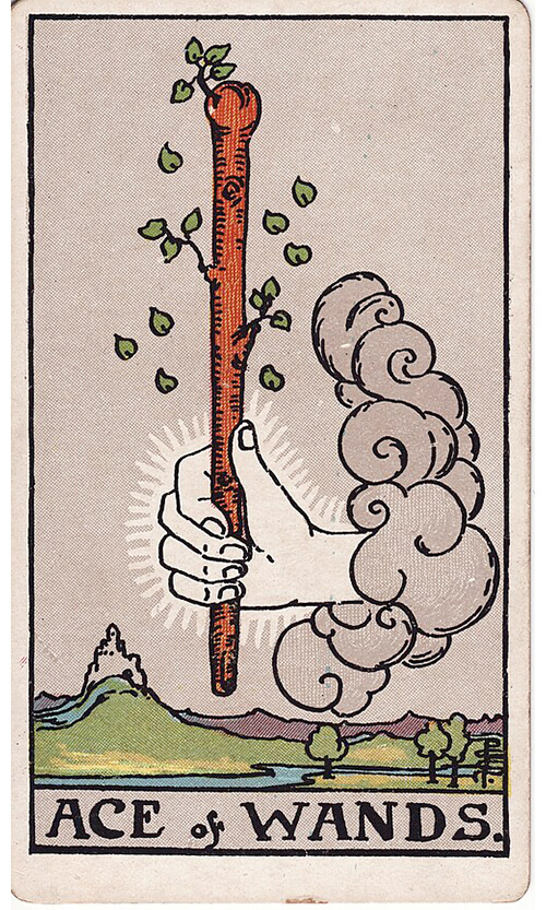 タロットカード ワンドのエース（Ace of Wands）の絵柄