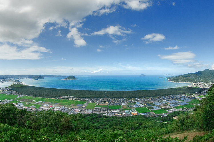 佐賀県唐津市の虹の松原の全景と広大な松林の風景