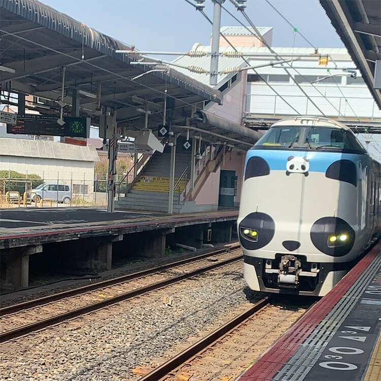 画像11