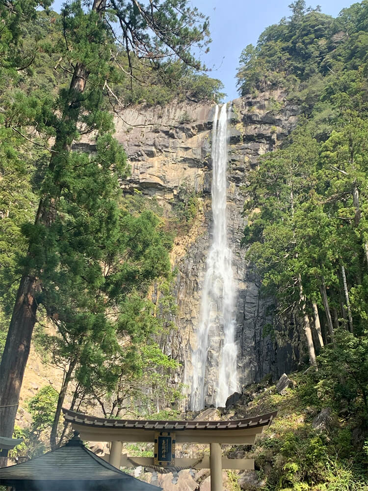 画像14