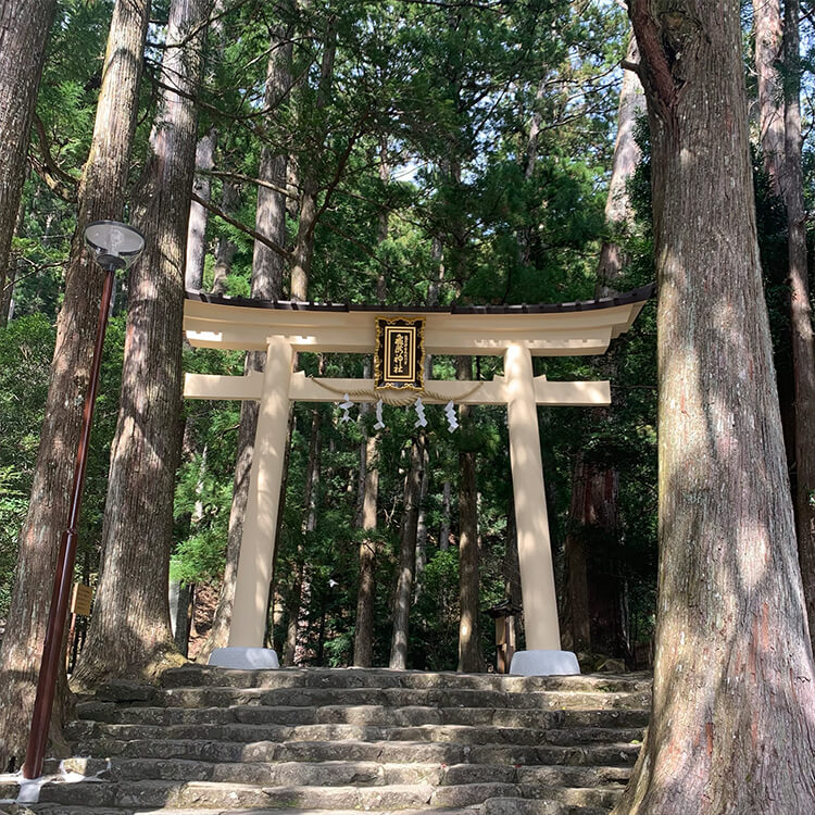 画像8