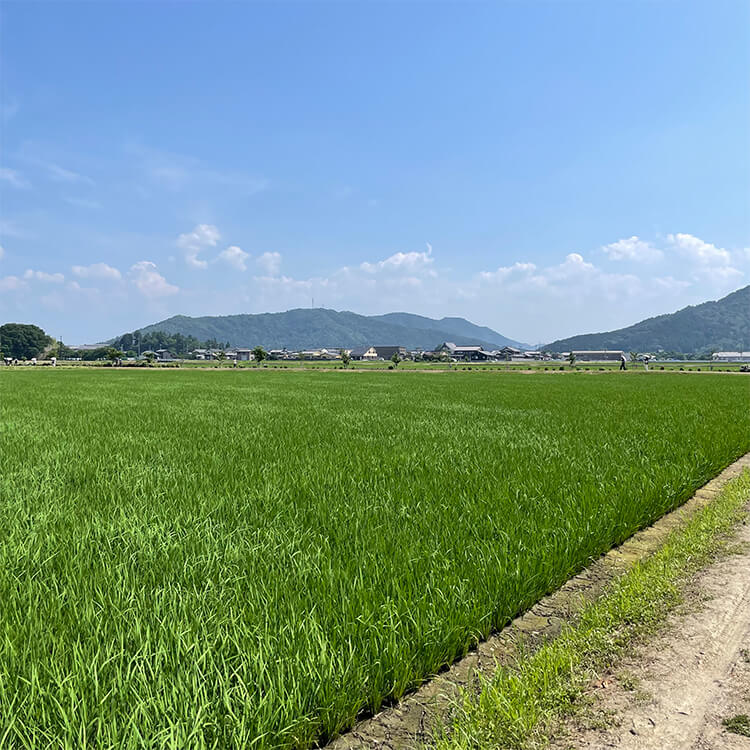 画像12