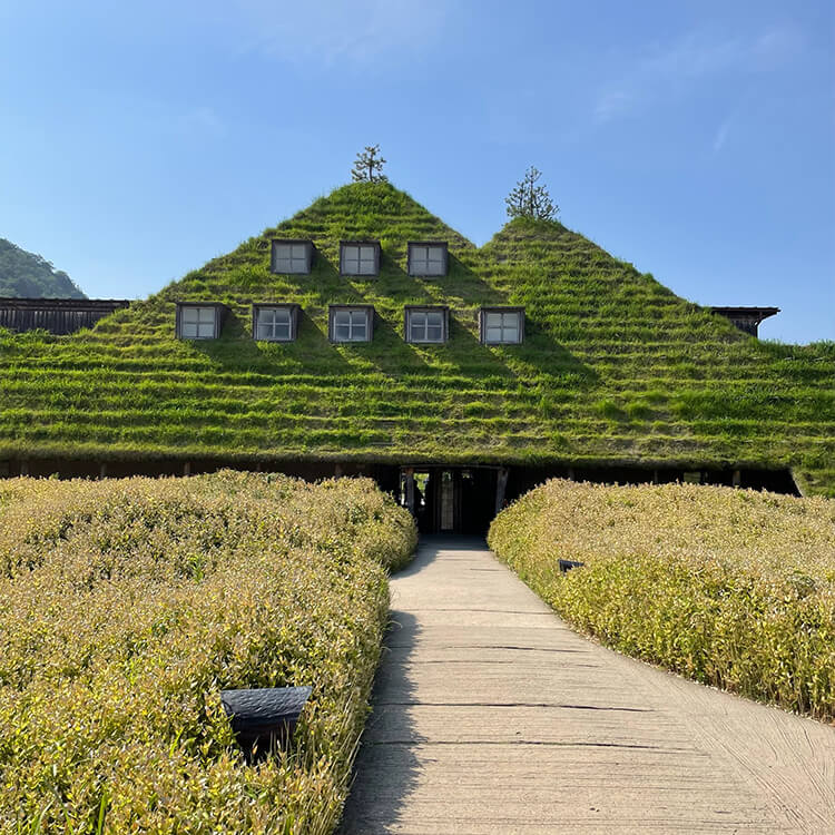 画像13