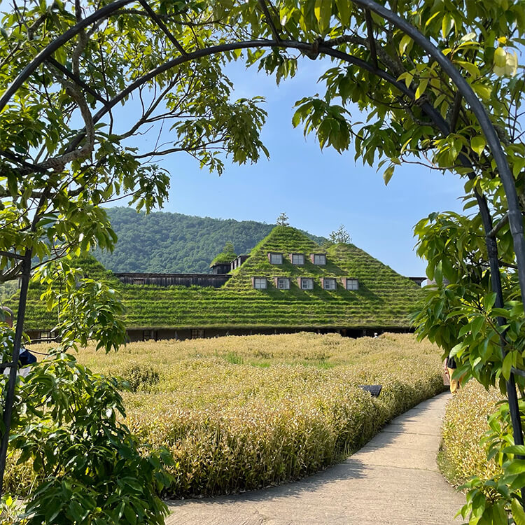 画像14