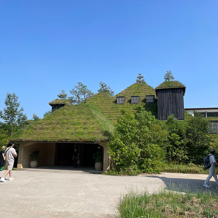 画像15