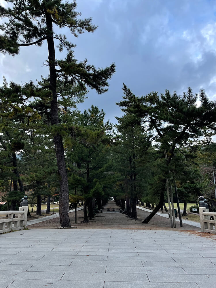 出雲大社の境内