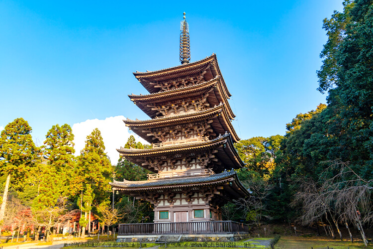 【圧倒的人気のパワースポット・京都後編】桜と光に包まれるJAPANブランドの発信基地