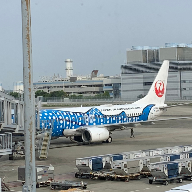 宮古島へ向かう飛行機