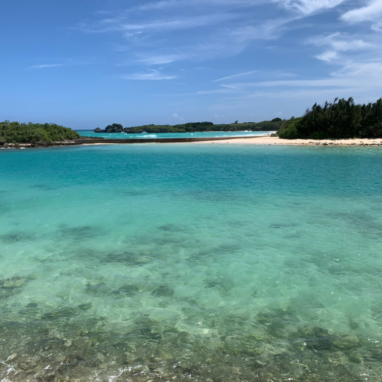渡口の浜